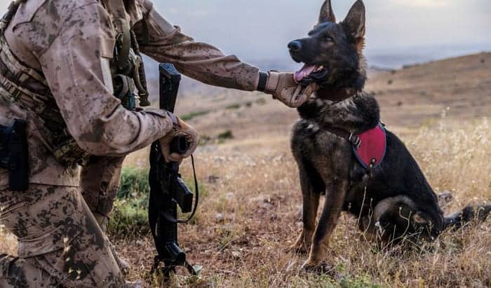 do military dog handlers keep their dogs