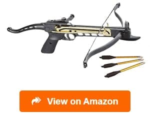Mini Pistol Crossbow - 50 Lbs, Isanti - Firearms, Accessories, and Ammo,  Plus Reloading, Hunting, and Fishing Gear